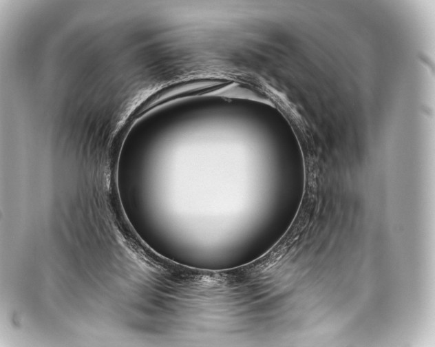 X0000098080060200804181209