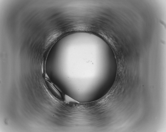 X0000098080062200804181209