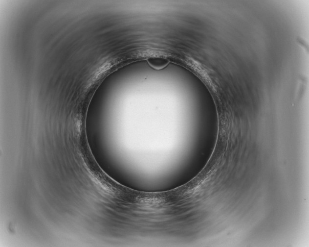 X0000098080063200804181209