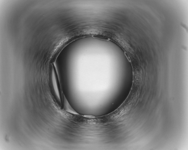 X0000098080064200804181209