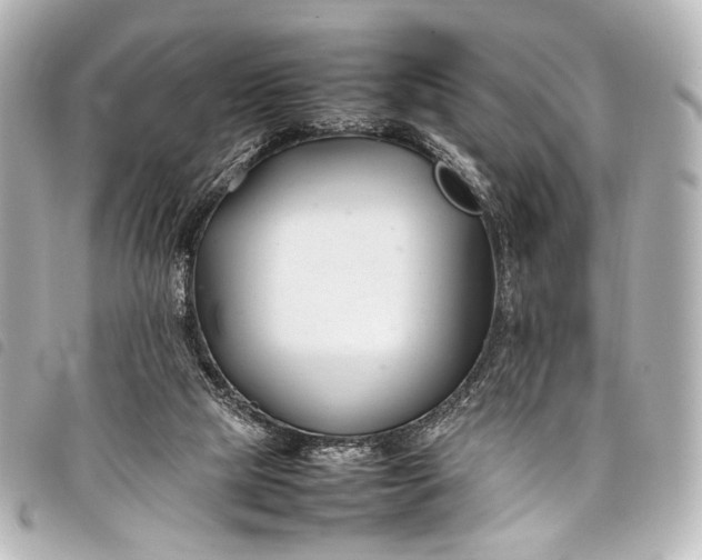 X0000098080065200804181209