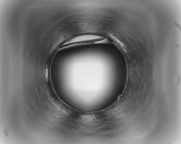 X0000098080067200804181209