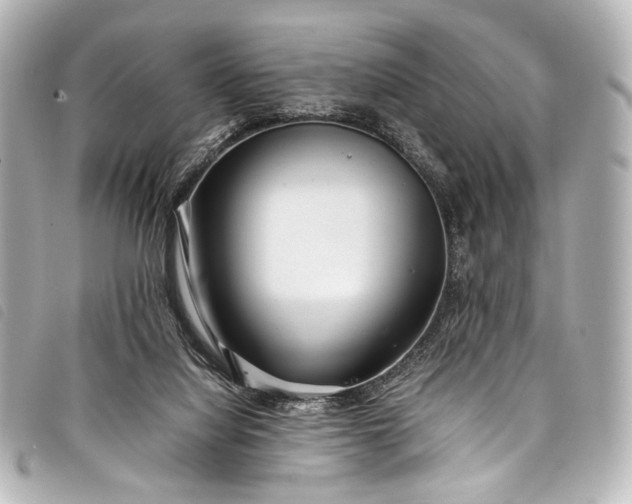 X0000098080068200804181209