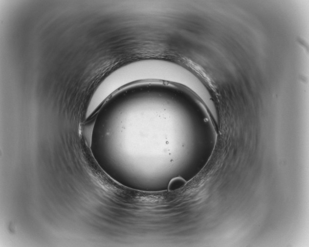 X0000098080069200804181209