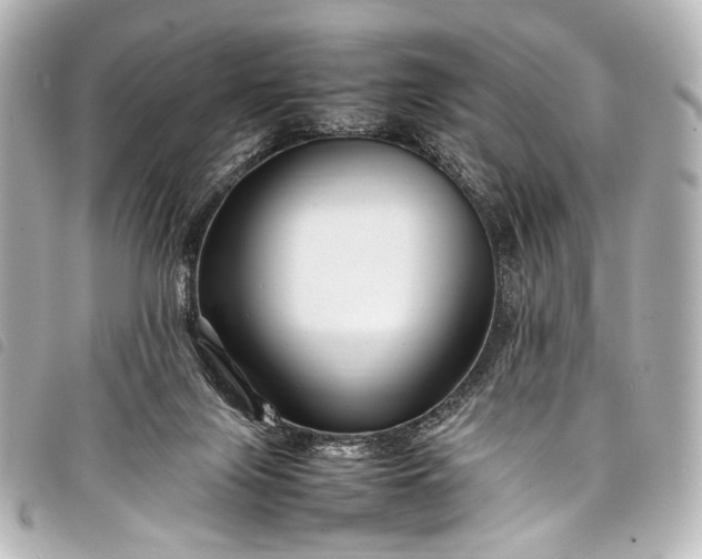 X0000098080071200804181209