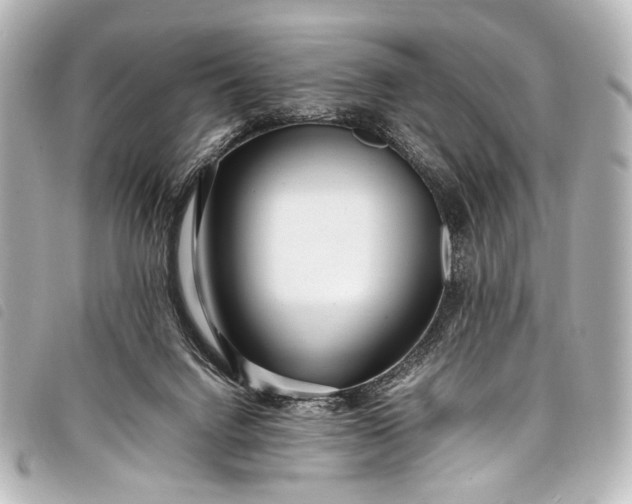 X0000098080072200804181209