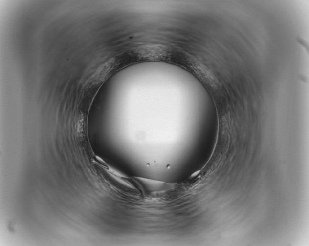 X0000098080073200804181209