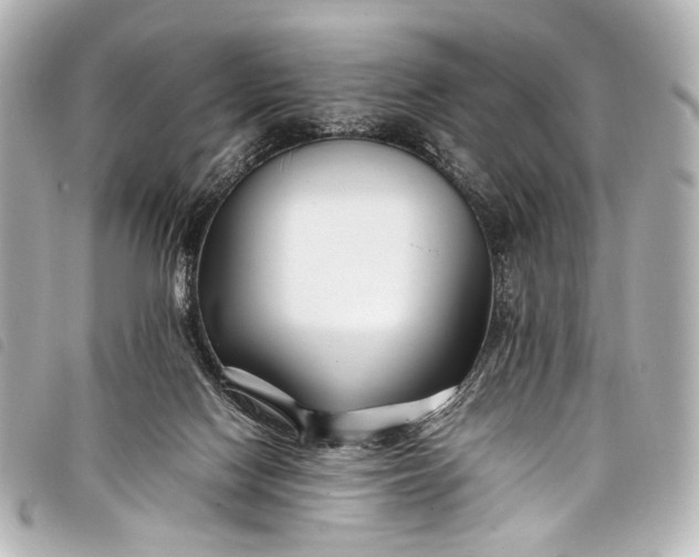 X0000098080074200804181210