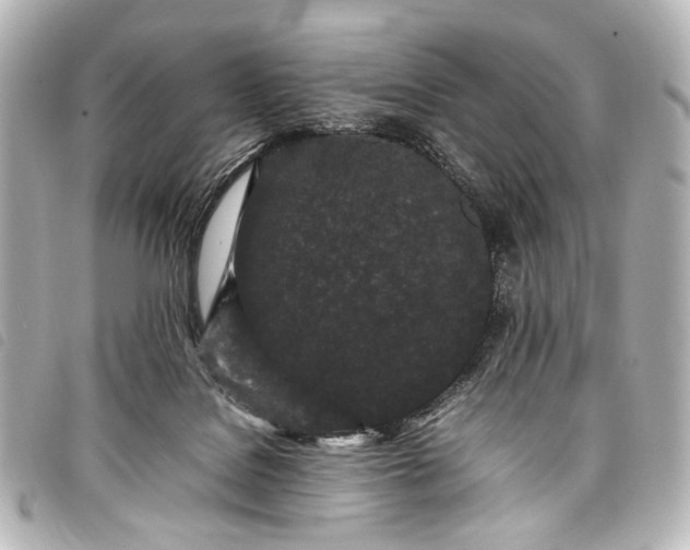 X0000098080076200804181210