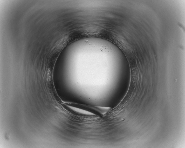 X0000098080077200804181210