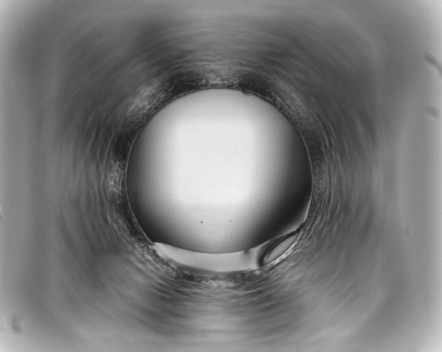 X0000098080078200804181210