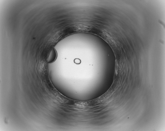 X0000098080079200804181210