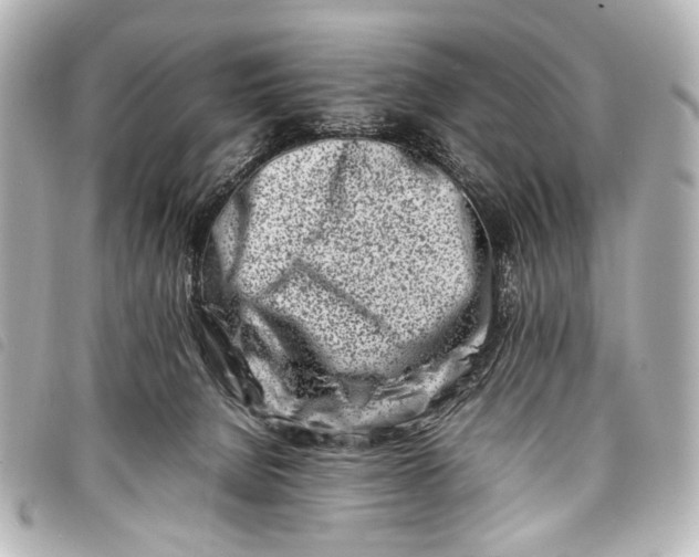 X0000098080080200804181210