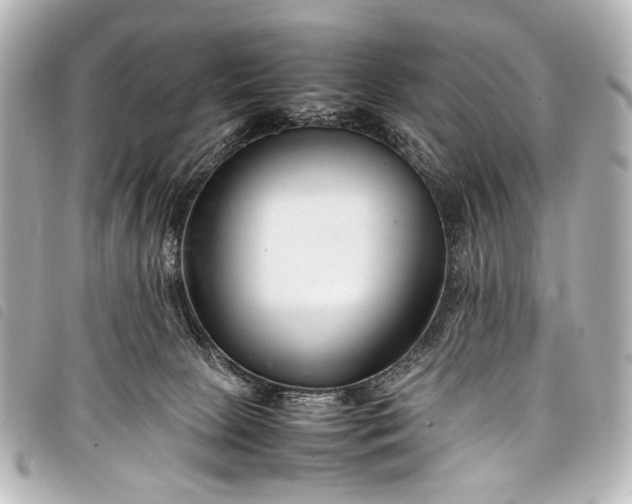 X0000098080081200804181210