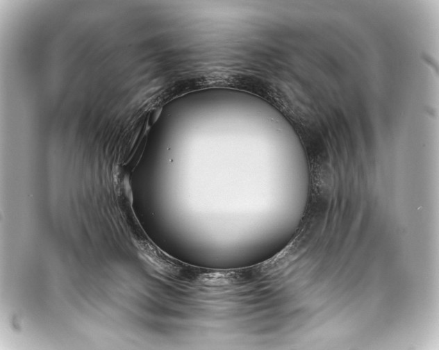 X0000098080082200804181210