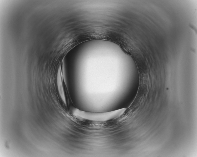 X0000098080084200804181210