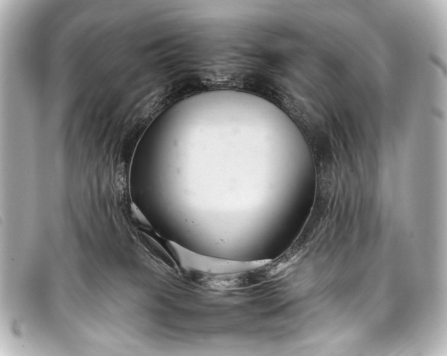 X0000098080085200804181210