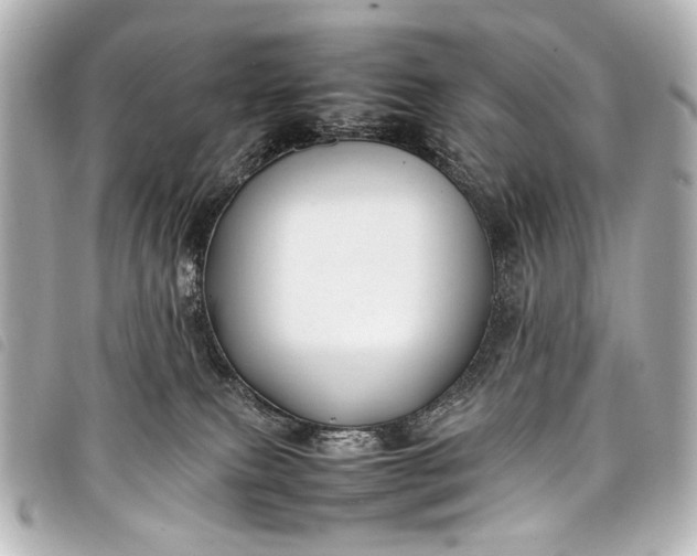 X0000098080087200804181210