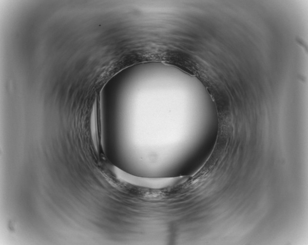 X0000098080088200804181210