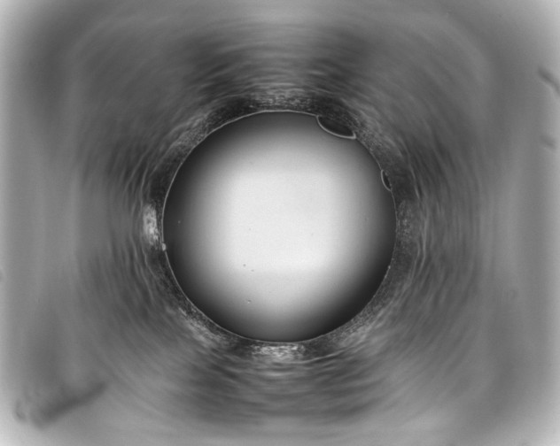 X0000098080089200804181210