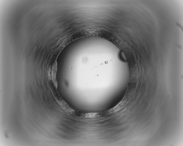 X0000098080090200804181210