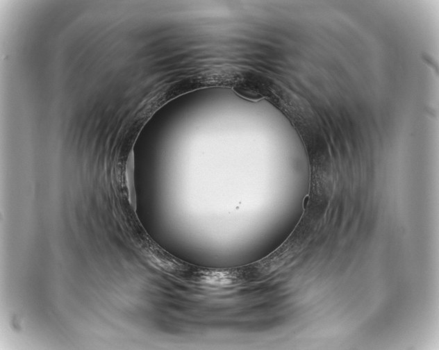 X0000098080091200804181210