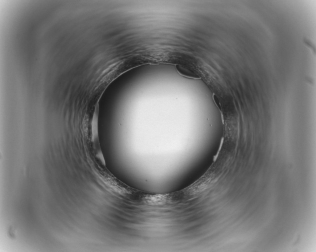 X0000098080092200804181210