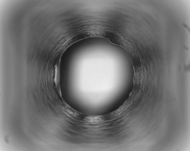 X0000098080093200804181210