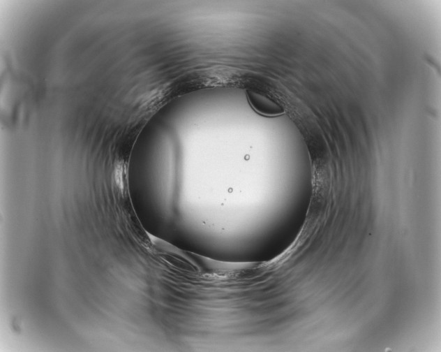 X0000098080094200804181210