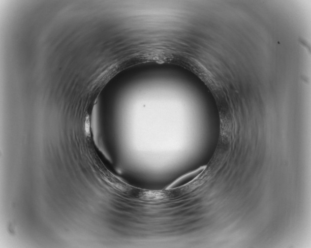 X0000098080095200804181210