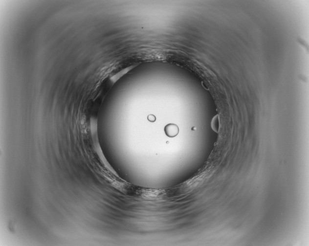 X0000098080096200804181210