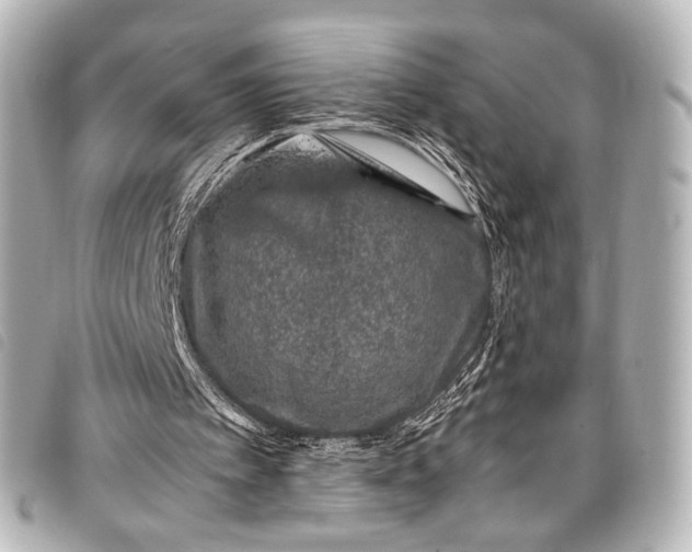 X0000098080097200804181209