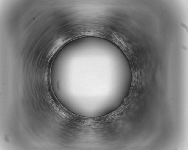 X0000098080098200804181209