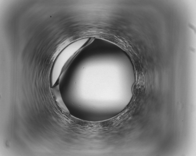 X0000098080099200804181209