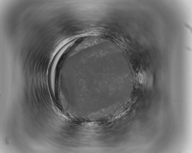 X0000098080100200804181209