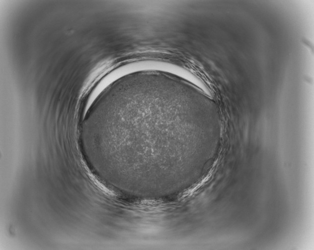 X0000098080101200804181209