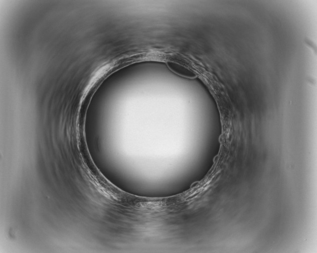 X0000098080102200804181209