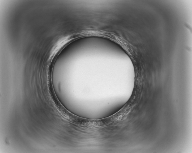 X0000098080103200804181209