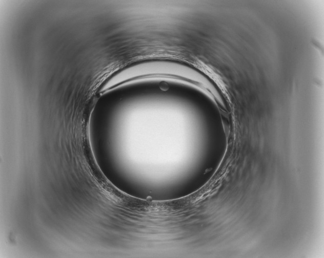 X0000098080105200804181209