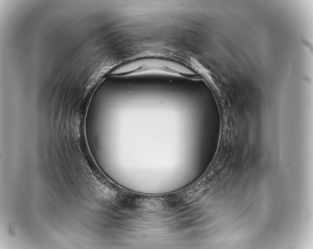 X0000098080106200804181209