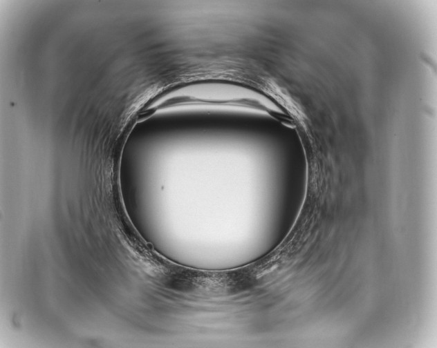 X0000098080107200804181209