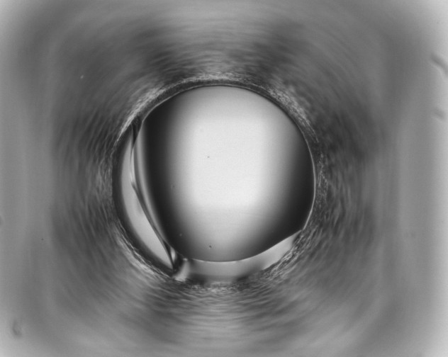 X0000098080108200804181209