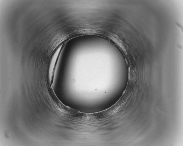 X0000098080109200804181209