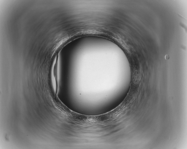 X0000098080111200804181209