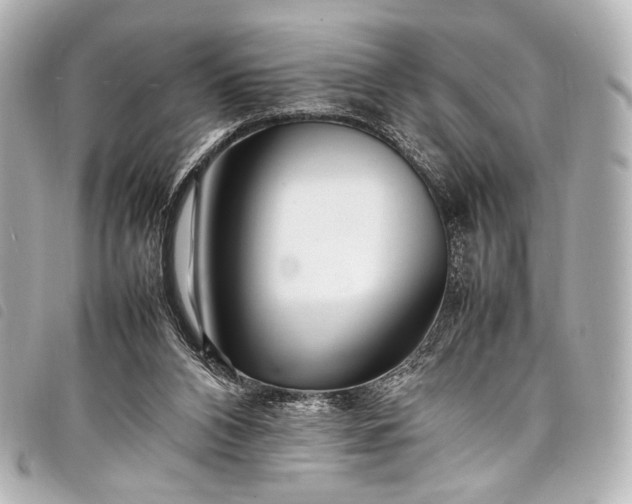 X0000098080112200804181209