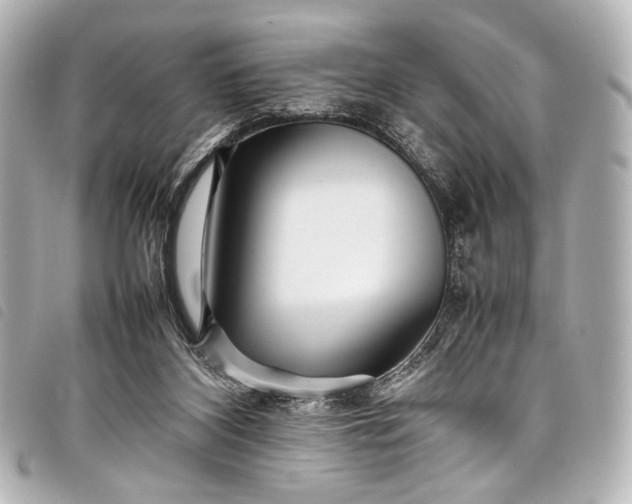 X0000098080116200804181209