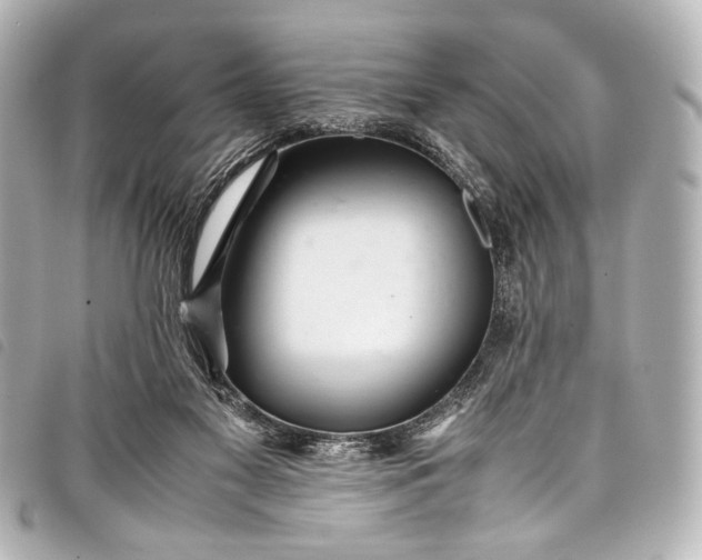 X0000098080117200804181209