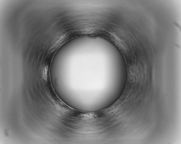 X0000098080118200804181209