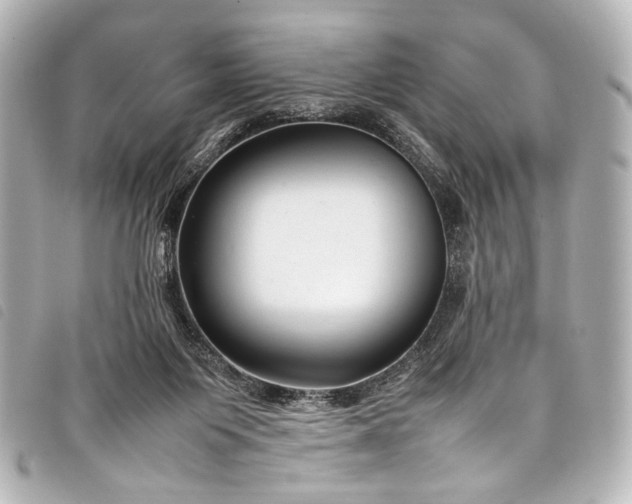 X0000098080119200804181209