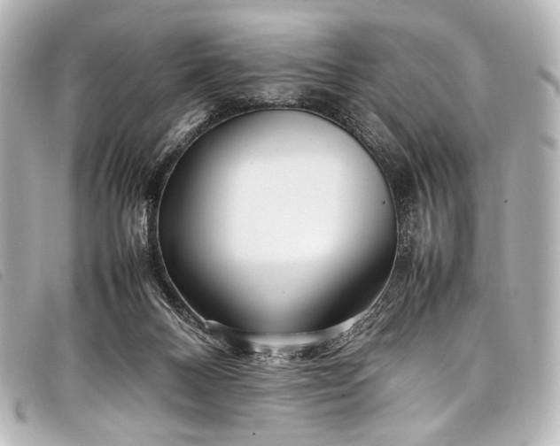 X0000098080120200804181209